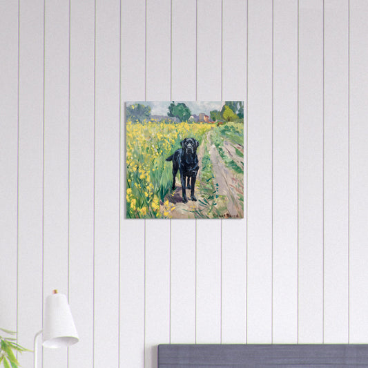 77ee49cc-a6b6-470d-a303-69cbea99507f