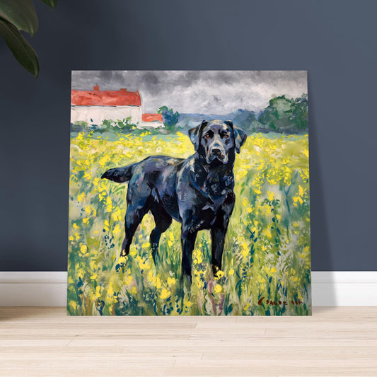 c9dbacb2-8865-45a7-8859-e46b6be6ee27